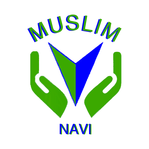 Navi Logo 2.0 Tranparent