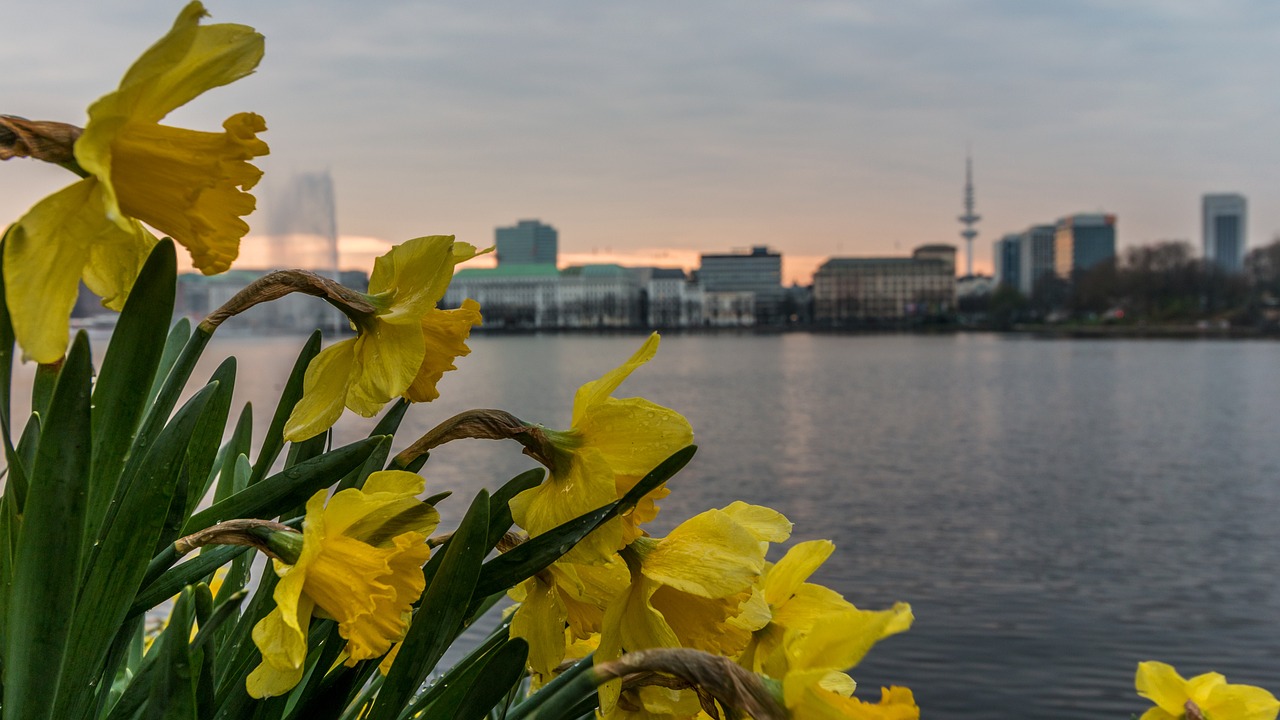 Hamburg Muslim Navi über uns